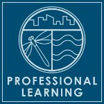 Blue background with Groundswell logo and the words "professional learning" on January 14, 2025